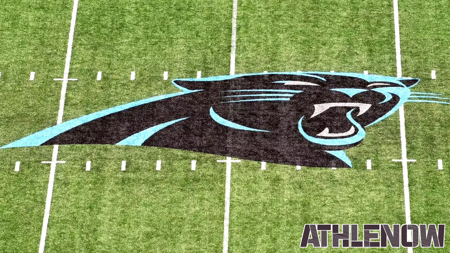 Carolina Panthers Unveil New Coaching Staff Additions for 2025 Season